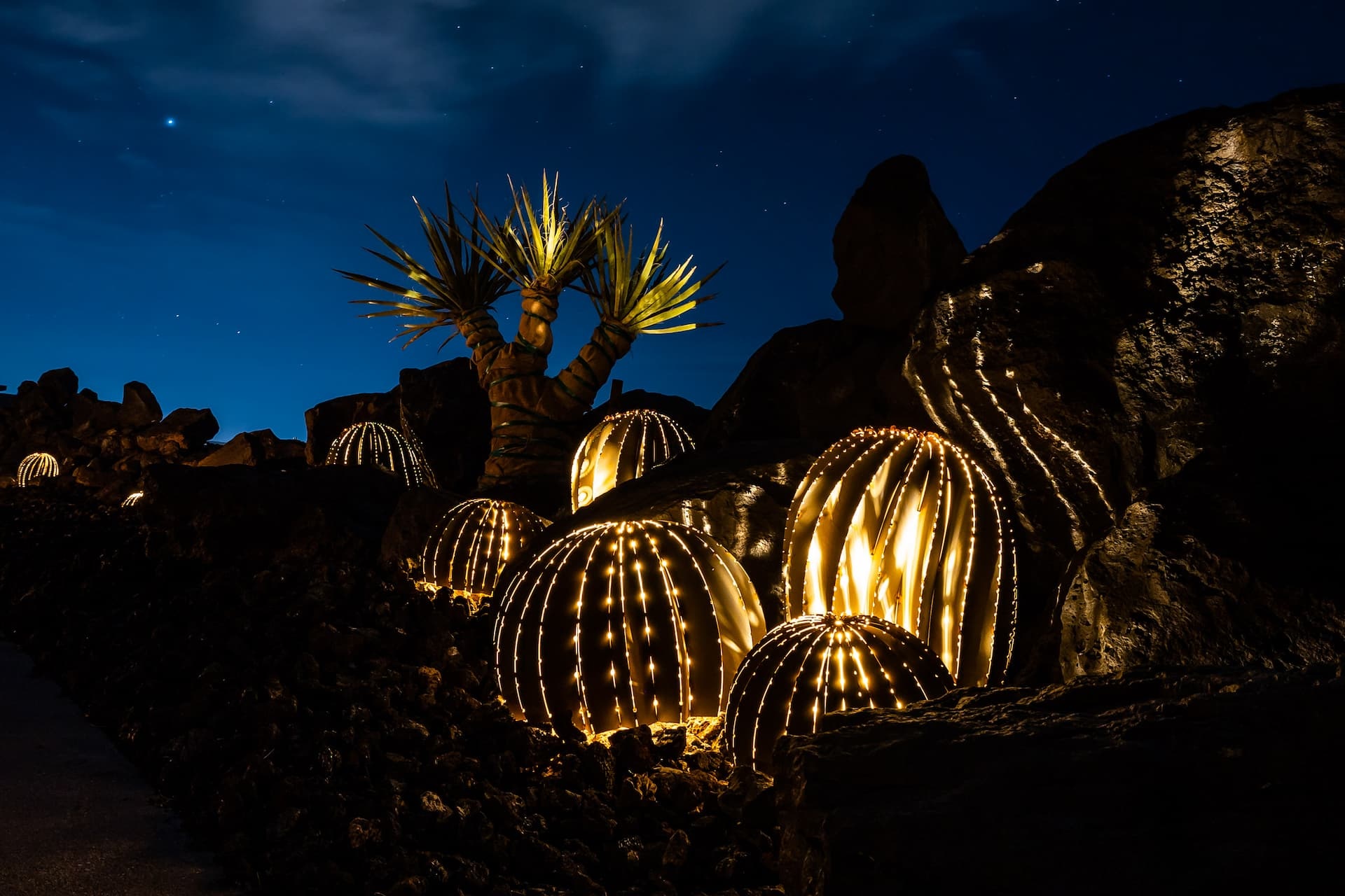 dryscape in Utah home